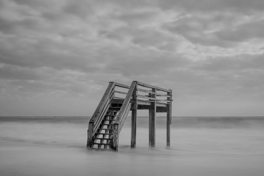 Borrowed Shore